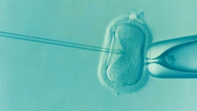 IVF Injections 4AllFamily USA