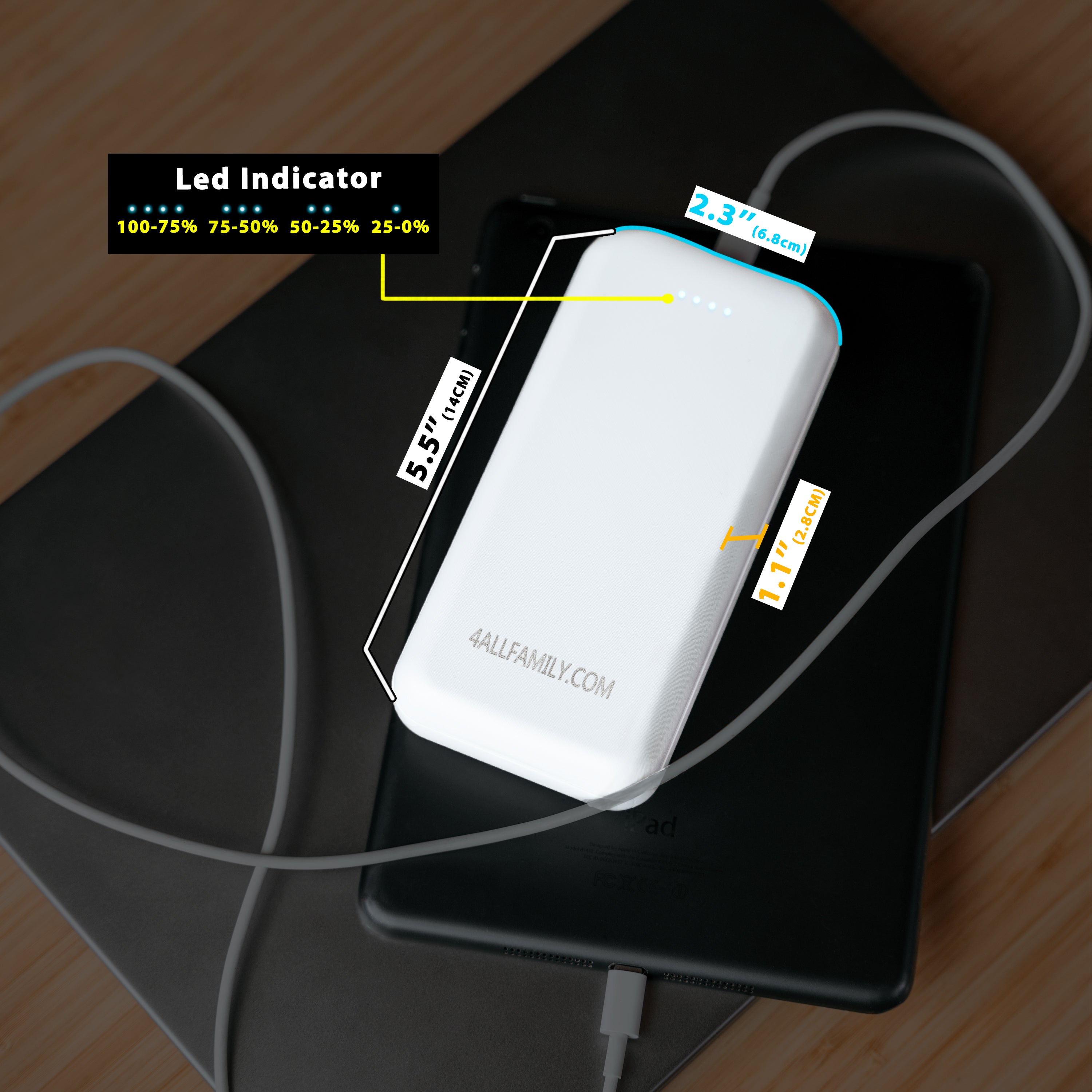 20000 mAh Power Bank for Electric Medicine Coolers – 4AllFamily